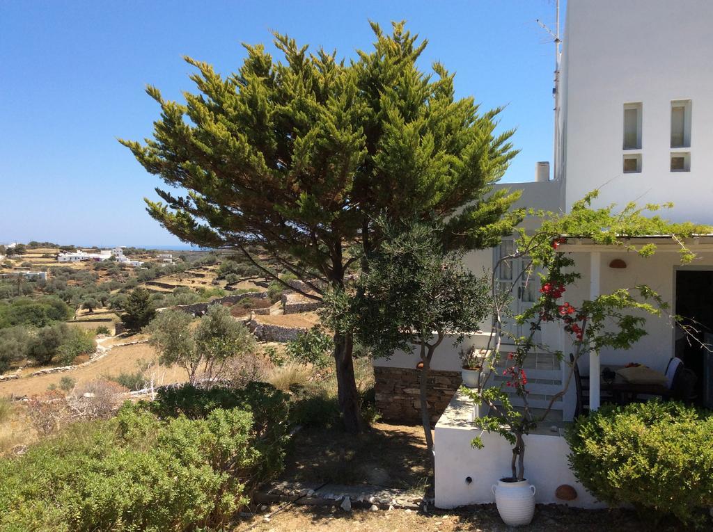 Peristeronas House Sifnos - Dove Cot Sifnos Villa Apollonia  Exterior photo